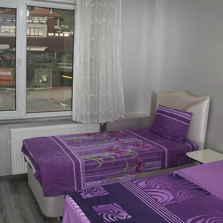 Abbasi Apart-1 *